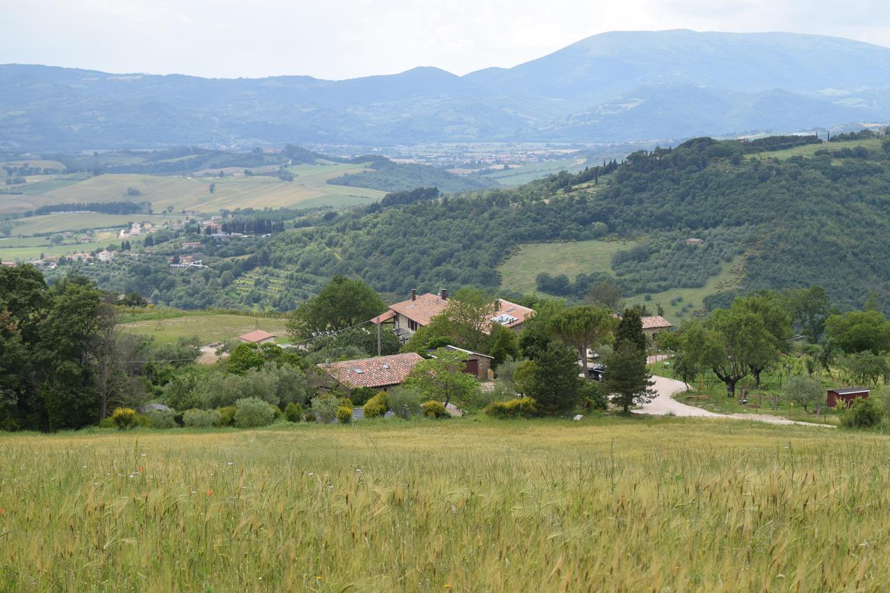 Agriturismo Terra Selvatica Valfabbrica Exterior foto